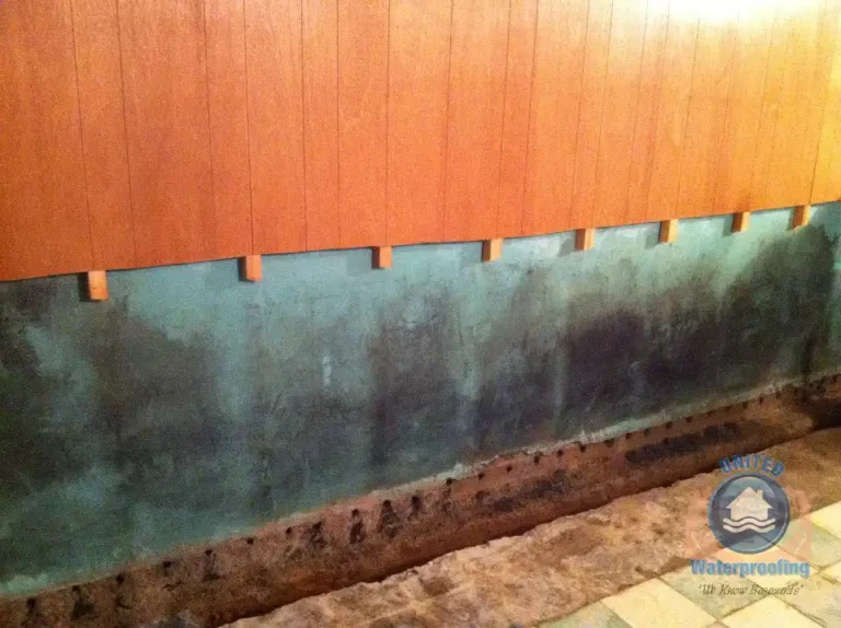 The Basics Behind Each Type of Basement Drainage System