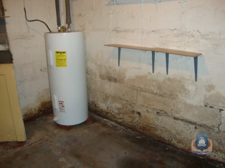 6 Tips to Prevent Mold and Mildew in NJ Basements