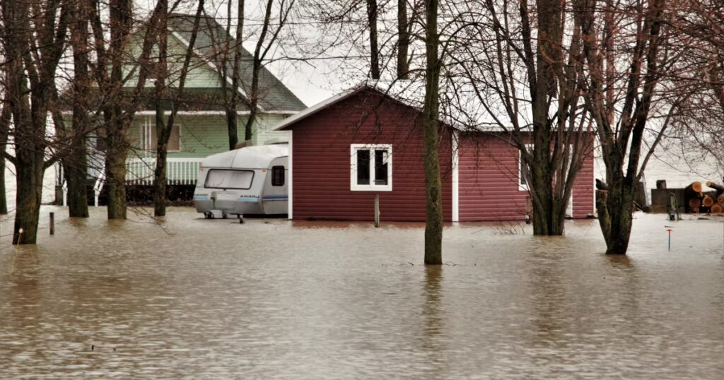 Why You Should Never Ignore a Leaky Basement in New Jersey
