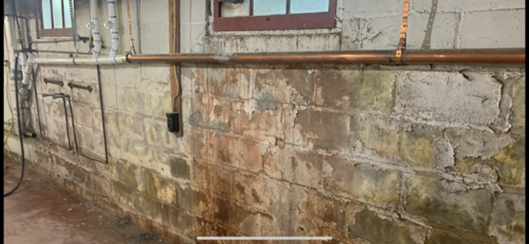 How to Protect Your Basement Walls from Moisture in New Jersey