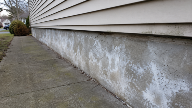 Decoding White Powder on Basement Walls in NJ